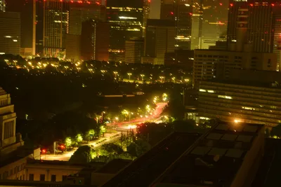 DSC_3239 (Large).JPG